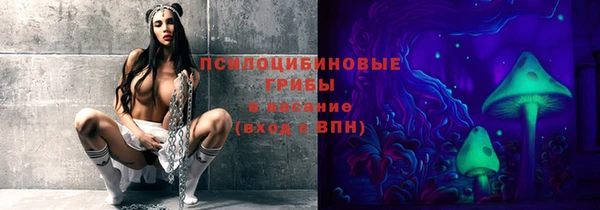 jwh Медвежьегорск
