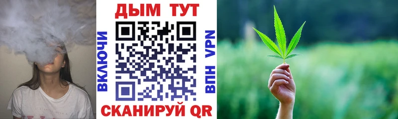 МАРИХУАНА THC 21%  mega сайт  Щёкино 